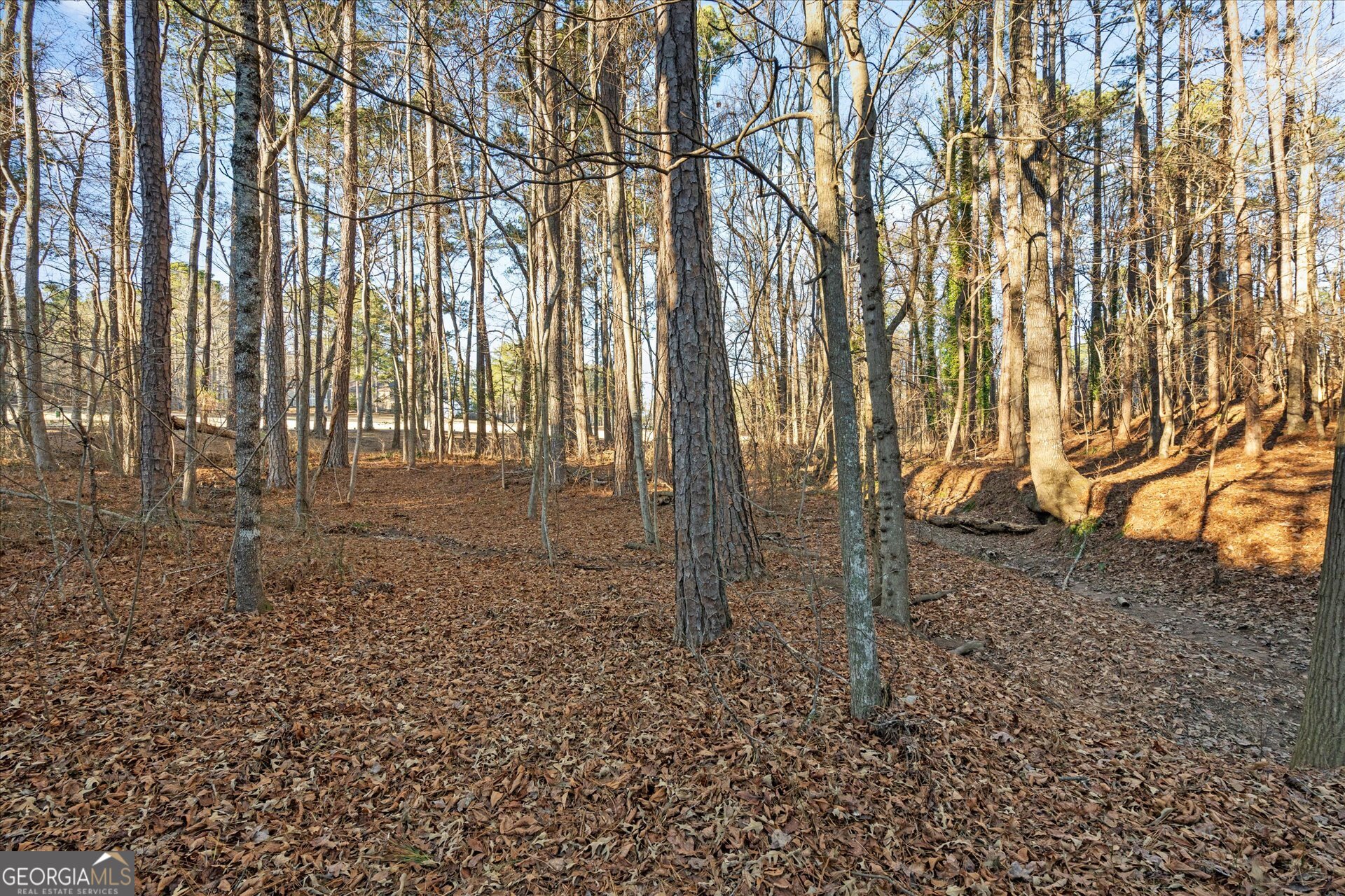 4051 Golfview Court Villa Rica, GA 30180 - Photo 46 of 77