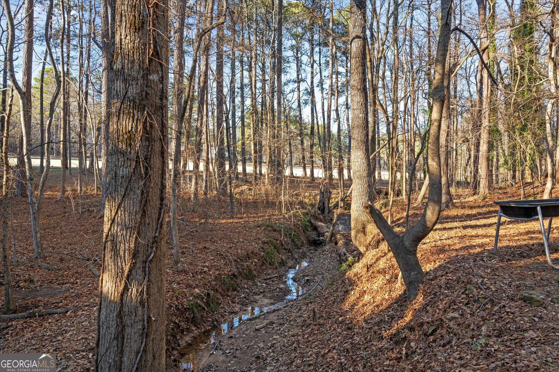 4051 Golfview Court Villa Rica, GA 30180 - Photo 47 of 77