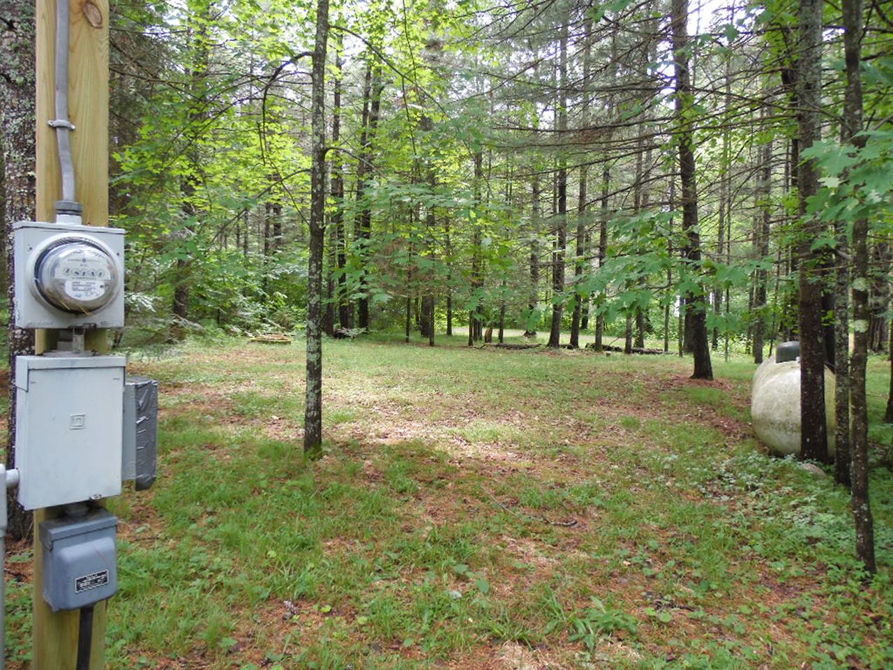 N10157 Lake Alice Road Tomahawk, WI 54487 - Photo 6 of 13 Gallery Image 6