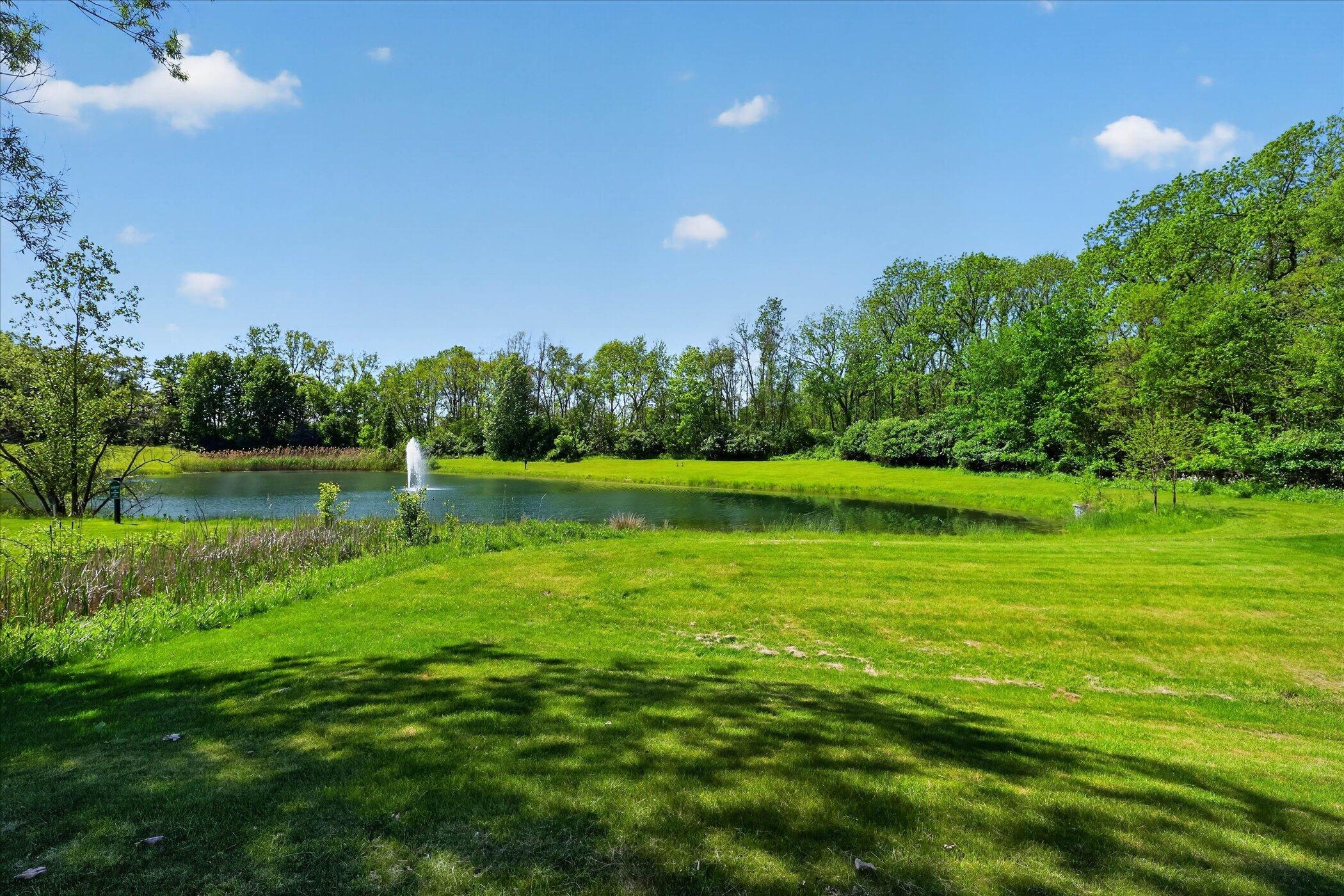 2931 Walnut Ridge Drive Ann Arbor, MI 48103 - Photo 71 of 102 083-2931-Walnut-Ridge-Dr-WindowStill-Pho