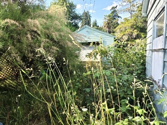 116 F Street Port Townsend, WA 98368 - Photo 8 of 14
