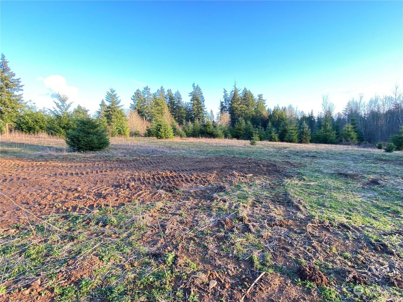 2 Brockway Road Chehalis, WA 98532 - Photo 12 of 21 a view of dirt field with trees in the background