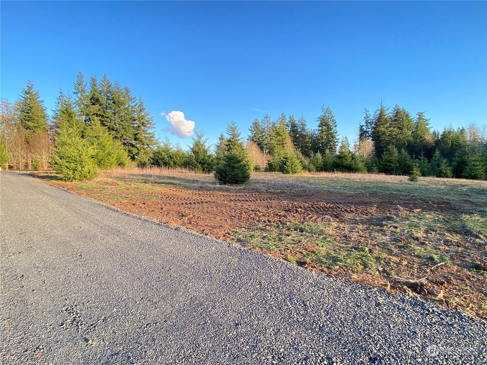 2 Brockway Road Chehalis, WA 98532 - Photo 13 of 21 a view of a yard with a tree