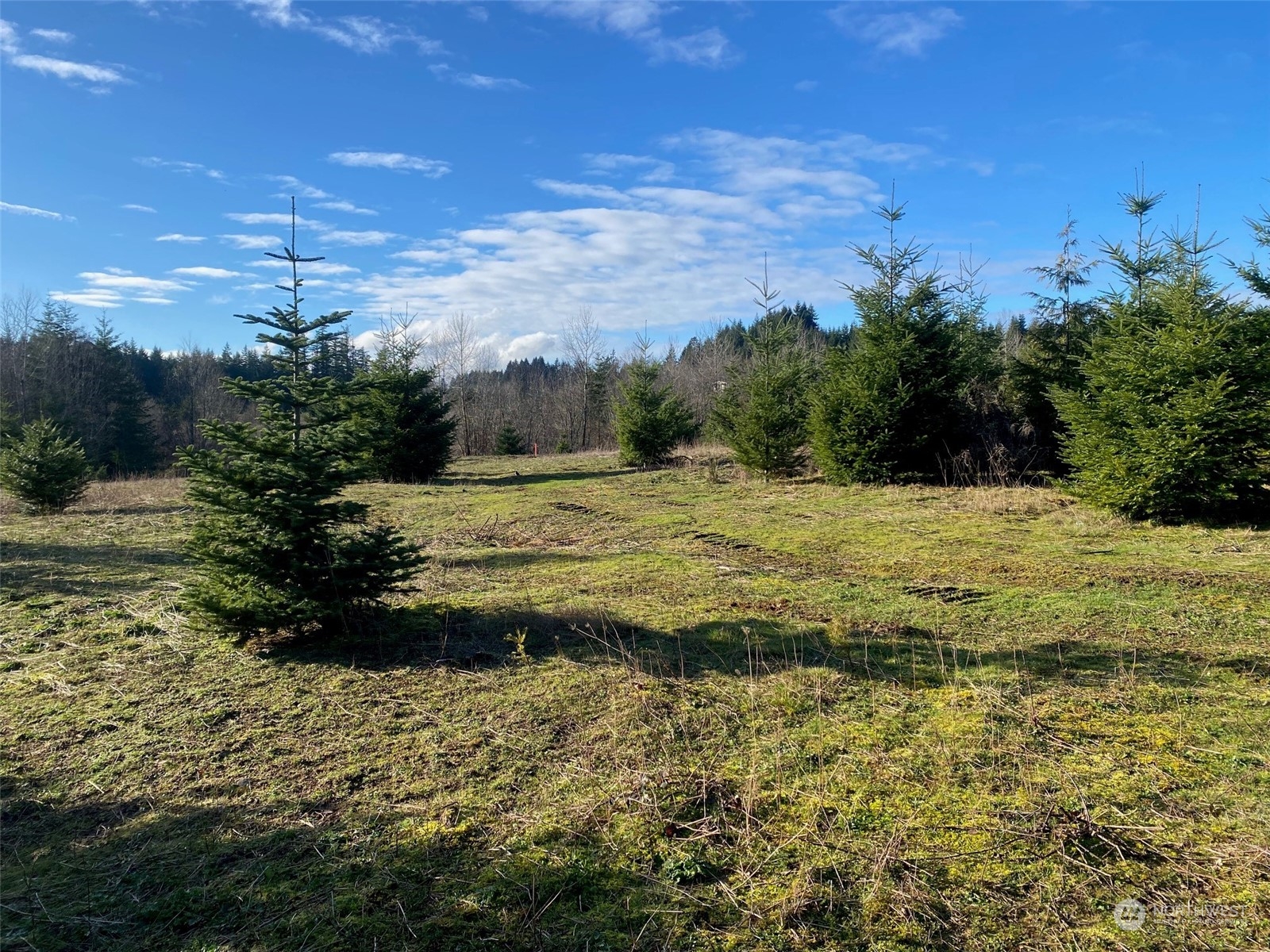 2 Brockway Road Chehalis, WA 98532 - Photo 2 of 21 a view of a lake view