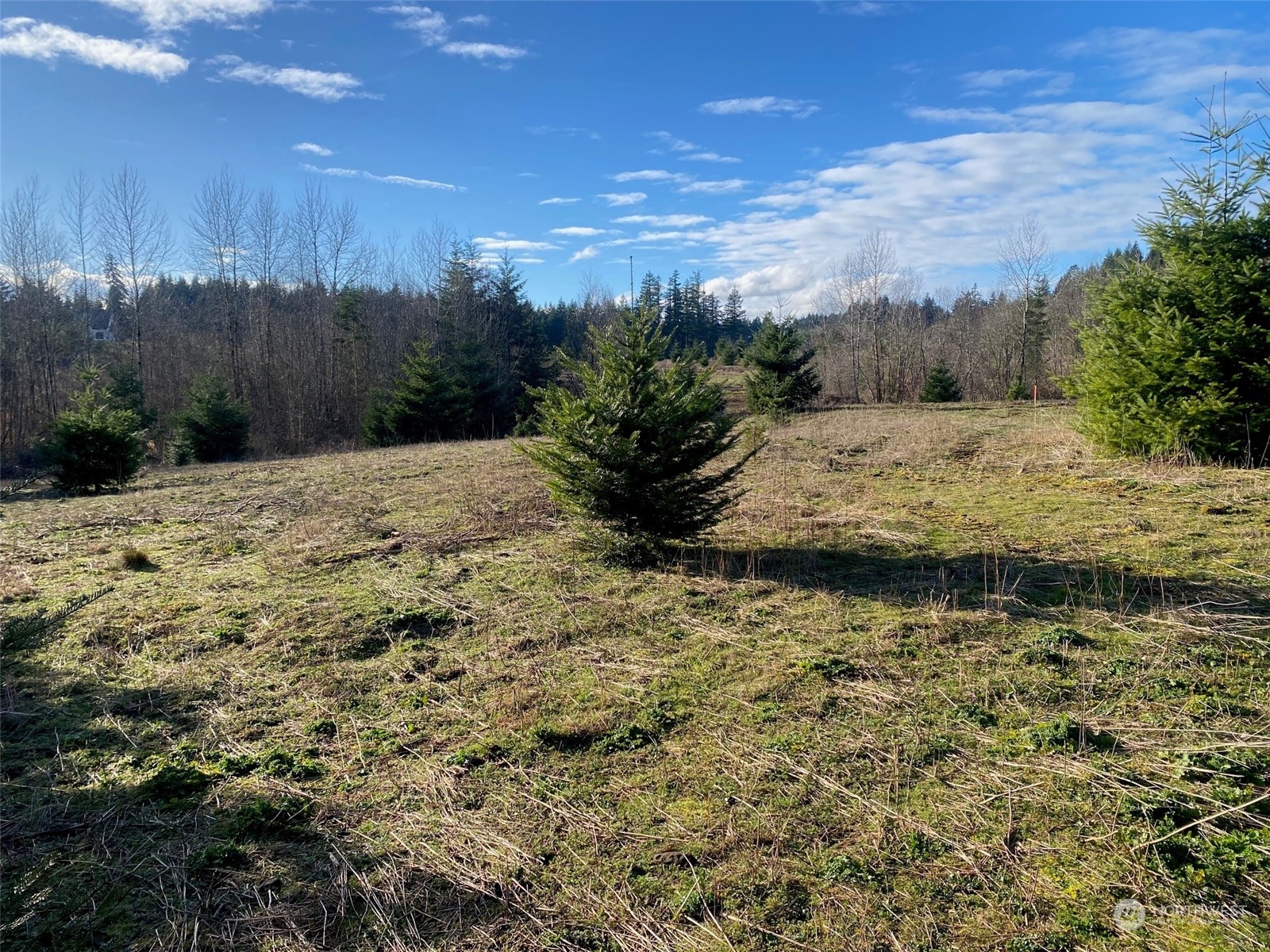 2 Brockway Road Chehalis, WA 98532 - Photo 4 of 21 a view of a yard