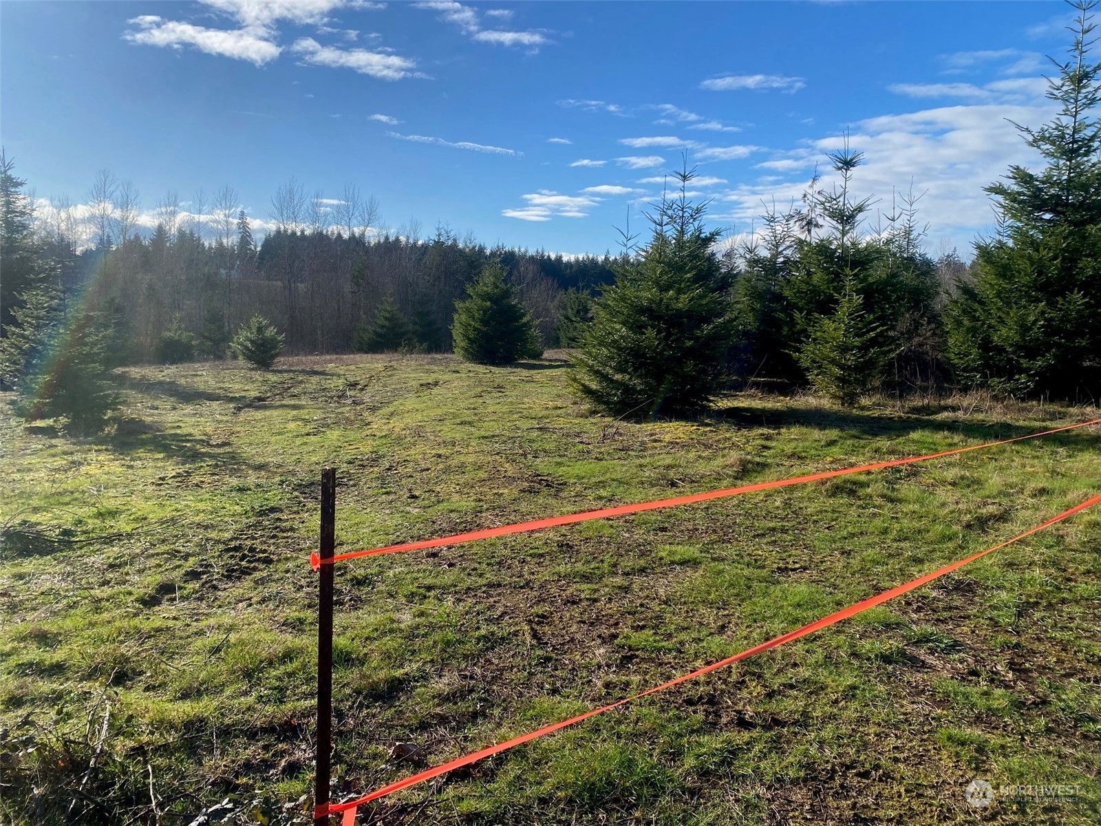 2 Brockway Road Chehalis, WA 98532 - Photo 5 of 21 a view of a backyard