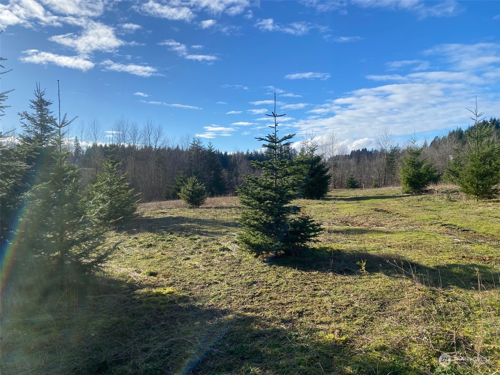 2 Brockway Road Chehalis, WA 98532 - Photo 6 of 21 a view of a lake from a yard