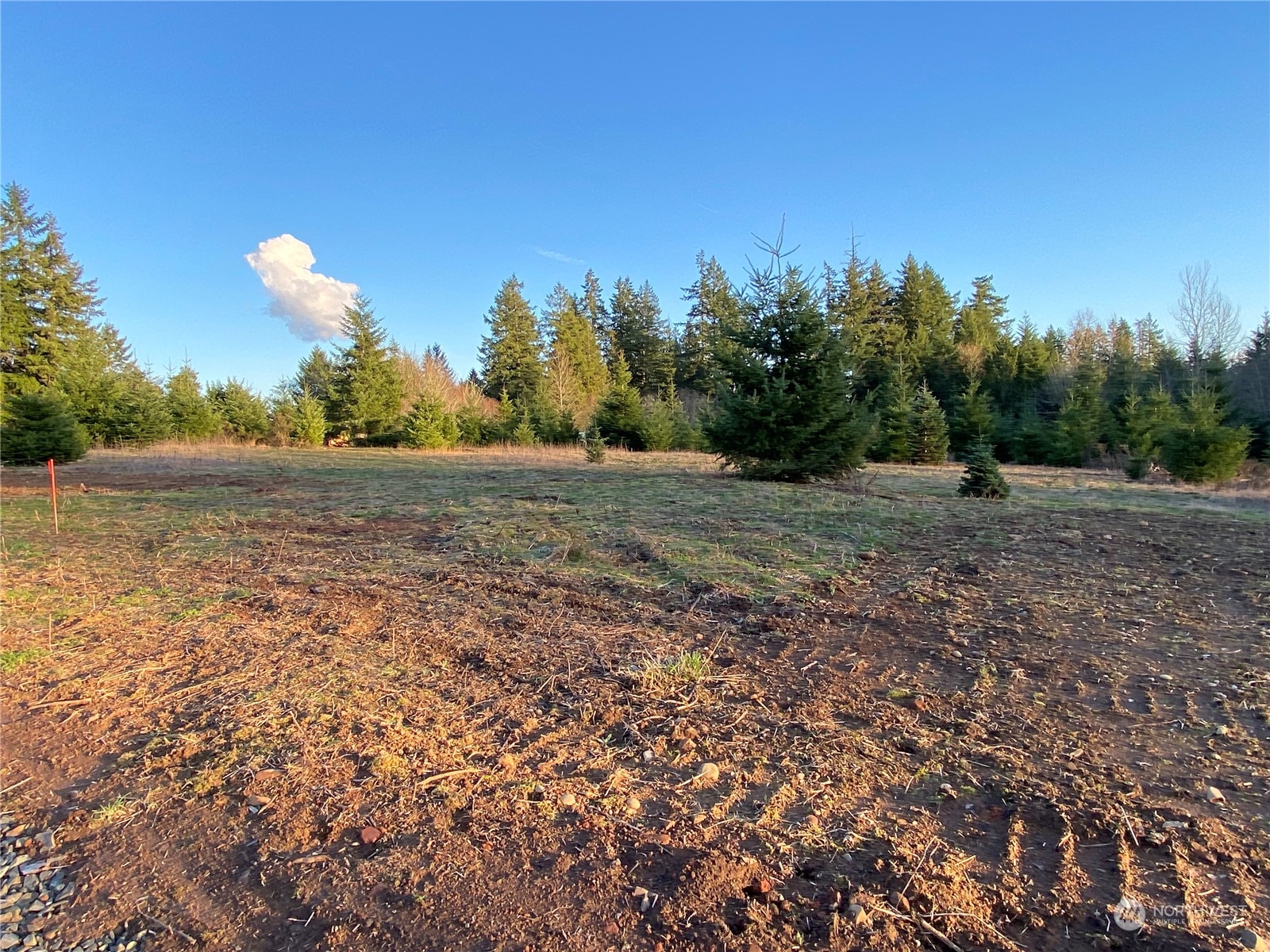 2 Brockway Road Chehalis, WA 98532 - Photo 10 of 21 a view of a field of grass and trees