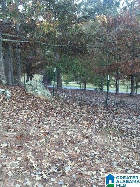3941 Sand Valley Road Remlap, AL 35133 - Photo 24 of 25