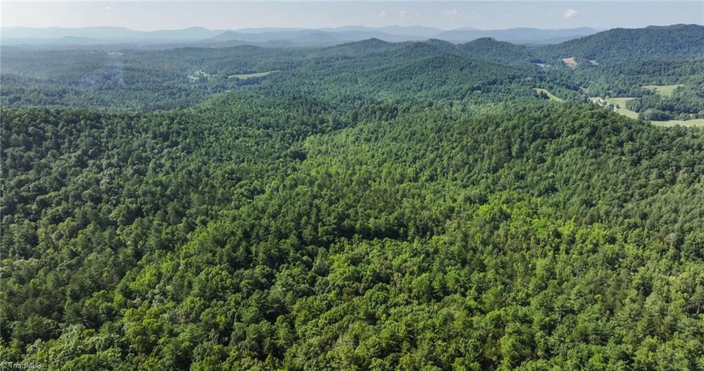0 Boone Trail Purlear, NC 28665 - Photo 24 of 40 Gallery Image 24