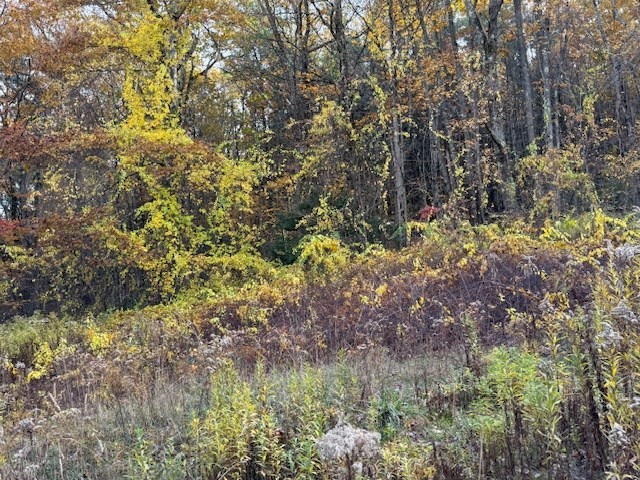 151 Wilker Road Ashburnham, MA 01430 - Photo 3 of 9