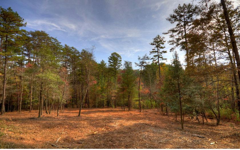 4.46 A Hogback Road Blue Ridge, GA 30513 - Photo 1 of 1 Main View