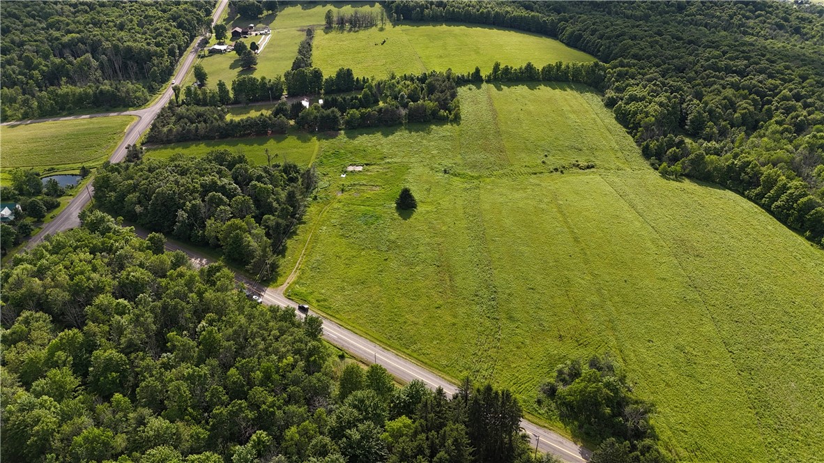 17 Kimble Road Beaver Dams, NY 14812 - Photo 3 of 9 View of area (more than the 4.20 acres being sold)