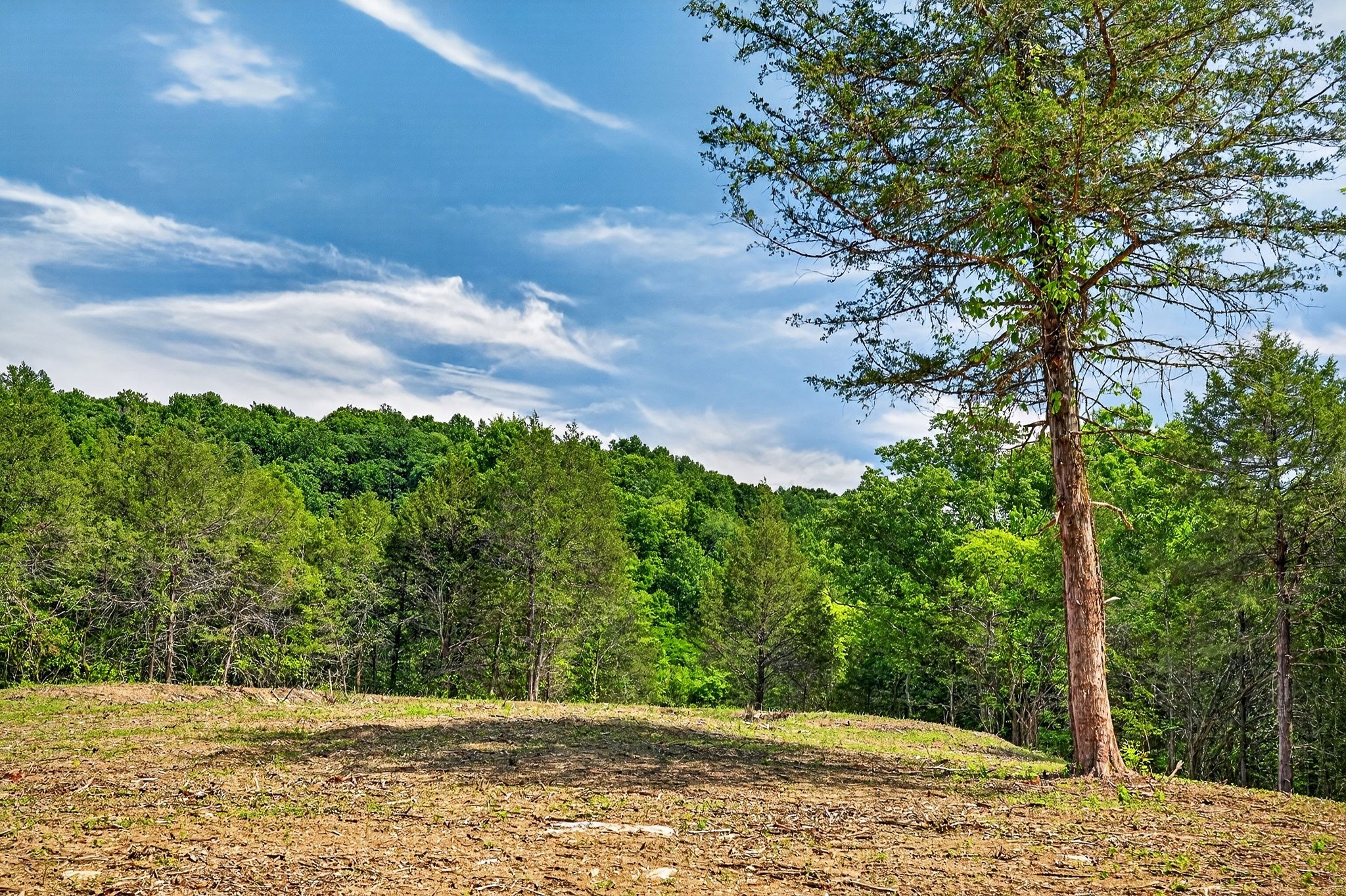 2926 Bryant Ridge Road Baxter, TN 38544 - Photo 29 of 64