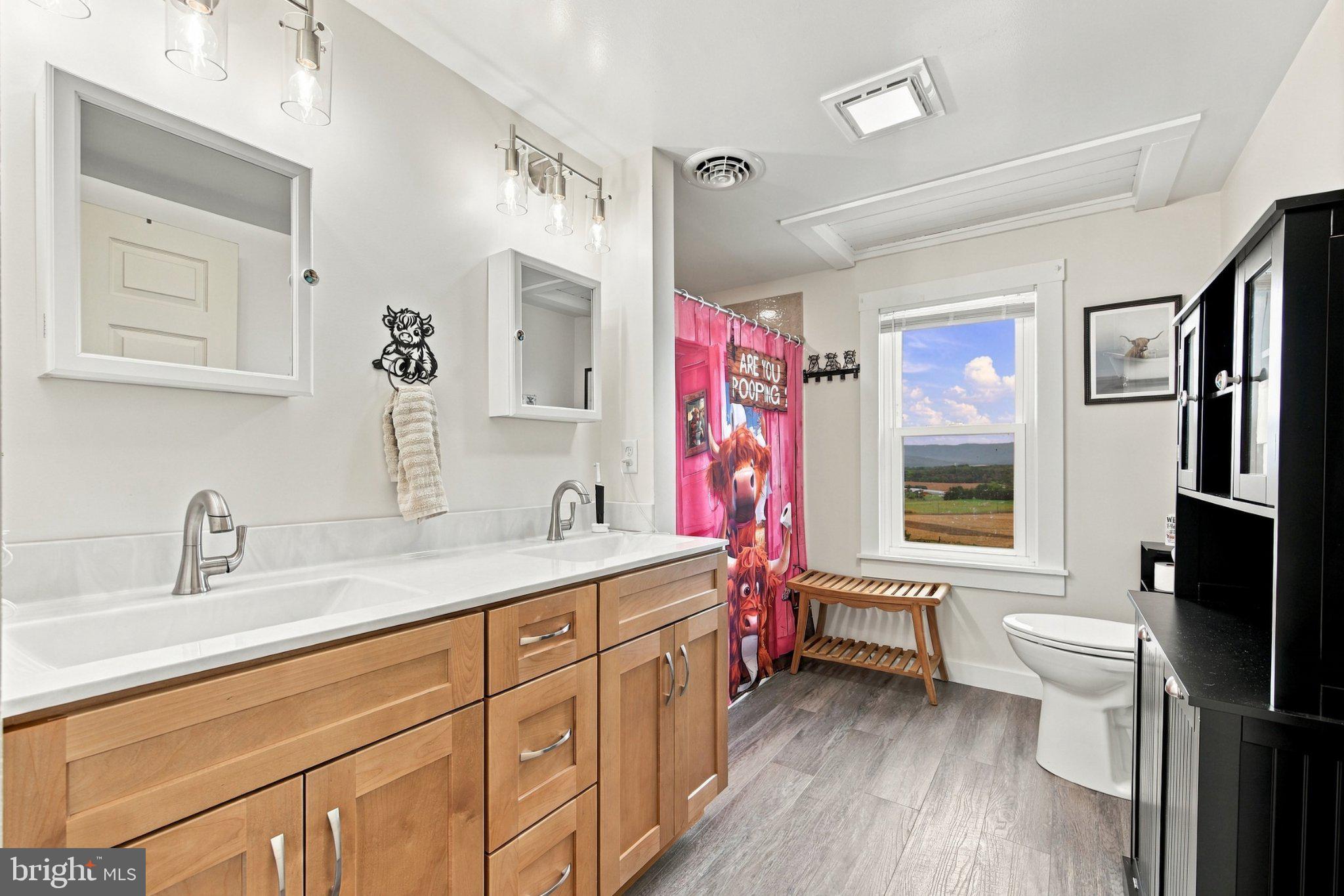 67 Lodge Hall Road Mount Jackson, VA 22842 - Photo 21 of 49 Gallery Image 21