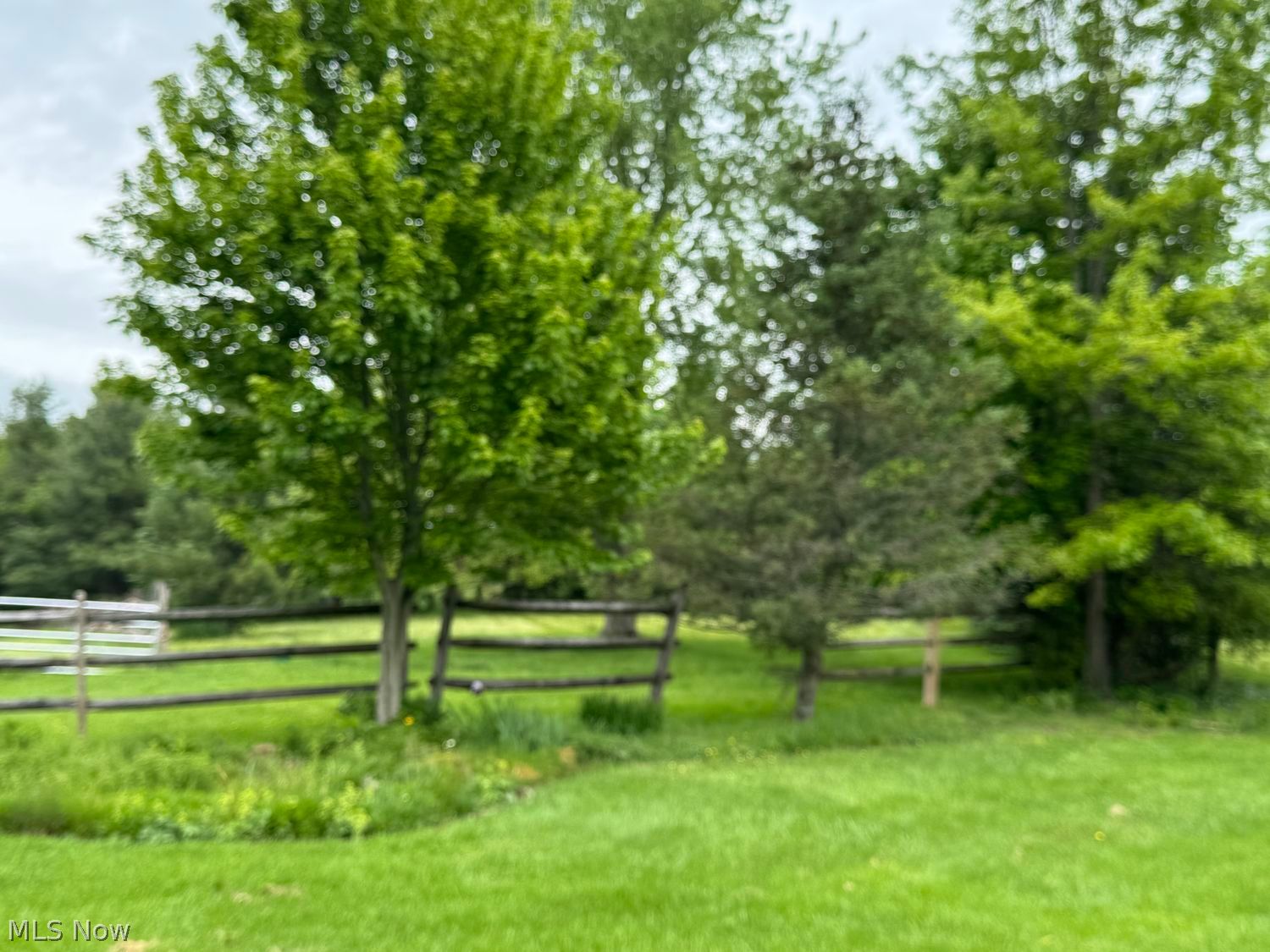 7950 Coon Club Road Medina, OH 44256 - Photo 24 of 29