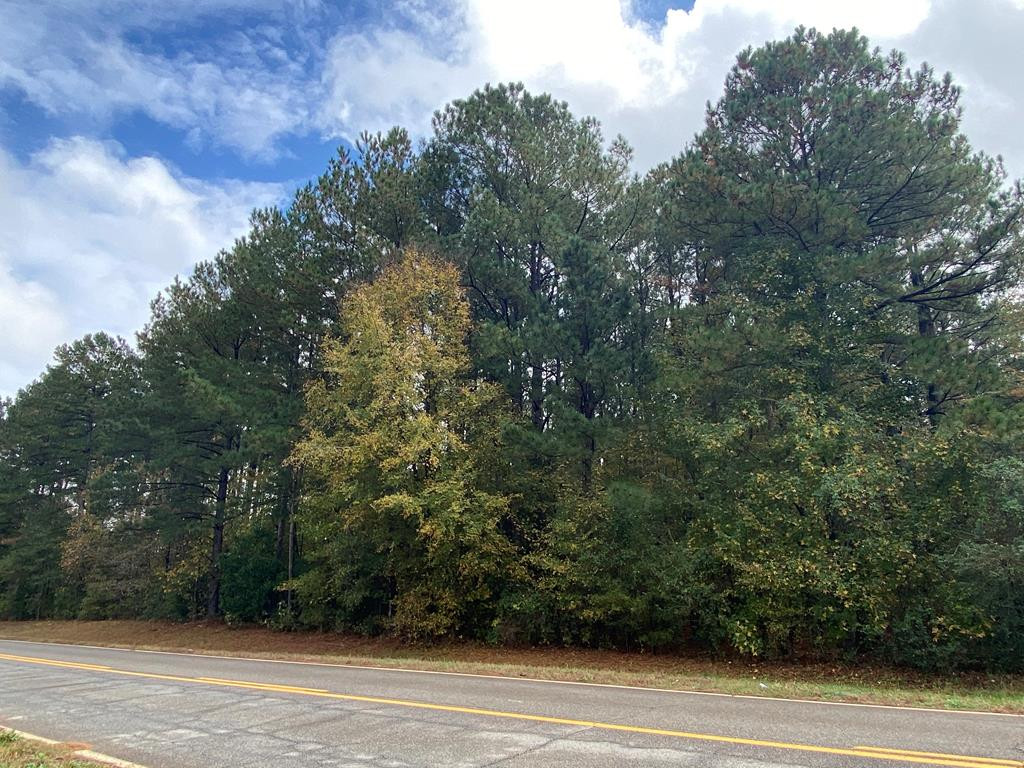 A Wrightsboro Road Thomson, GA 30824 - Photo 1 of 17 Main View