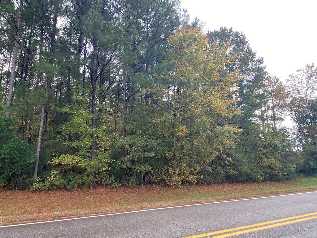 A Wrightsboro Road Thomson, GA 30824 - Photo 2 of 17 Gallery Image 2