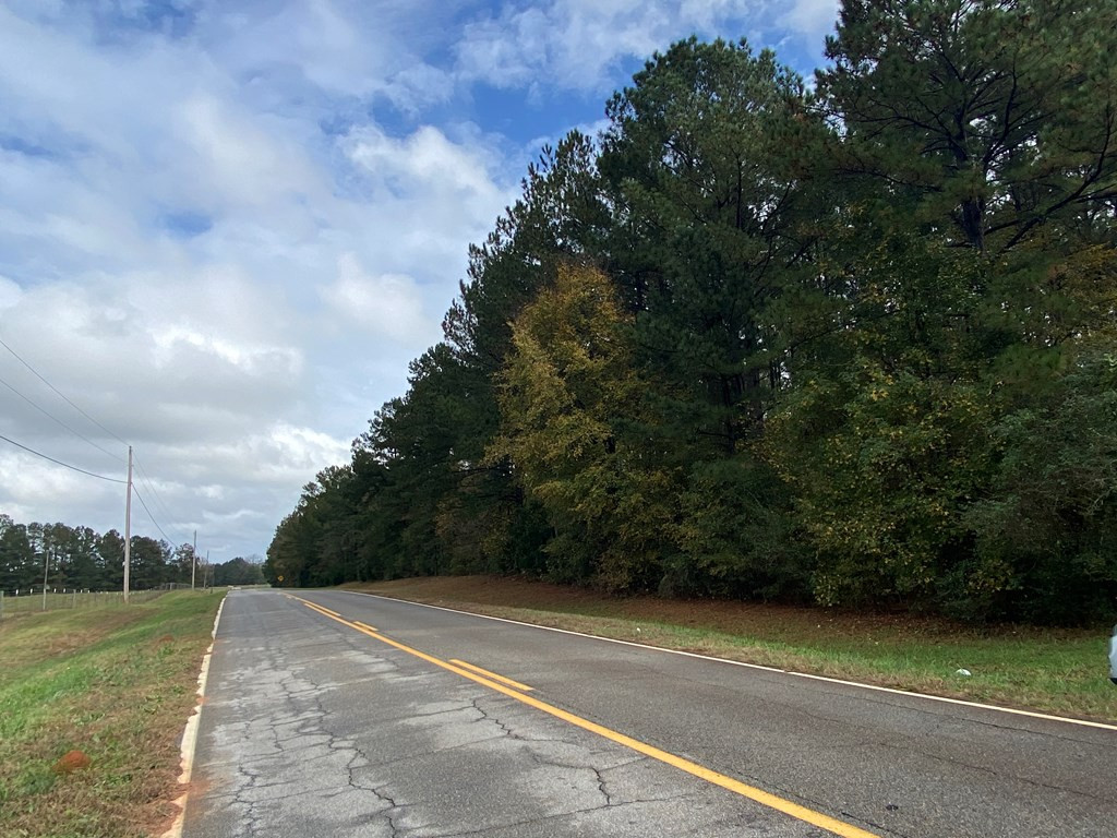 A Wrightsboro Road Thomson, GA 30824 - Photo 3 of 17 Gallery Image 3