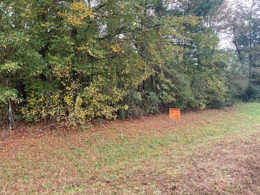 A Wrightsboro Road Thomson, GA 30824 - Photo 4 of 17 Gallery Image 4