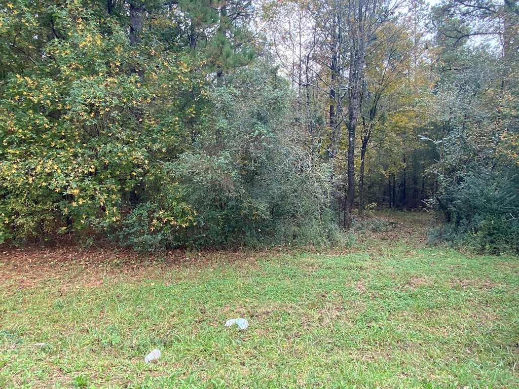 A Wrightsboro Road Thomson, GA 30824 - Photo 5 of 17 Gallery Image 5
