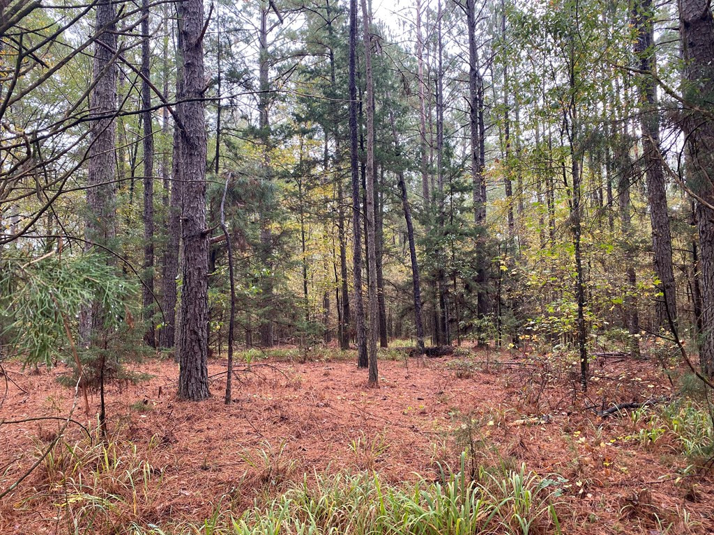 A Wrightsboro Road Thomson, GA 30824 - Photo 8 of 17 Gallery Image 8