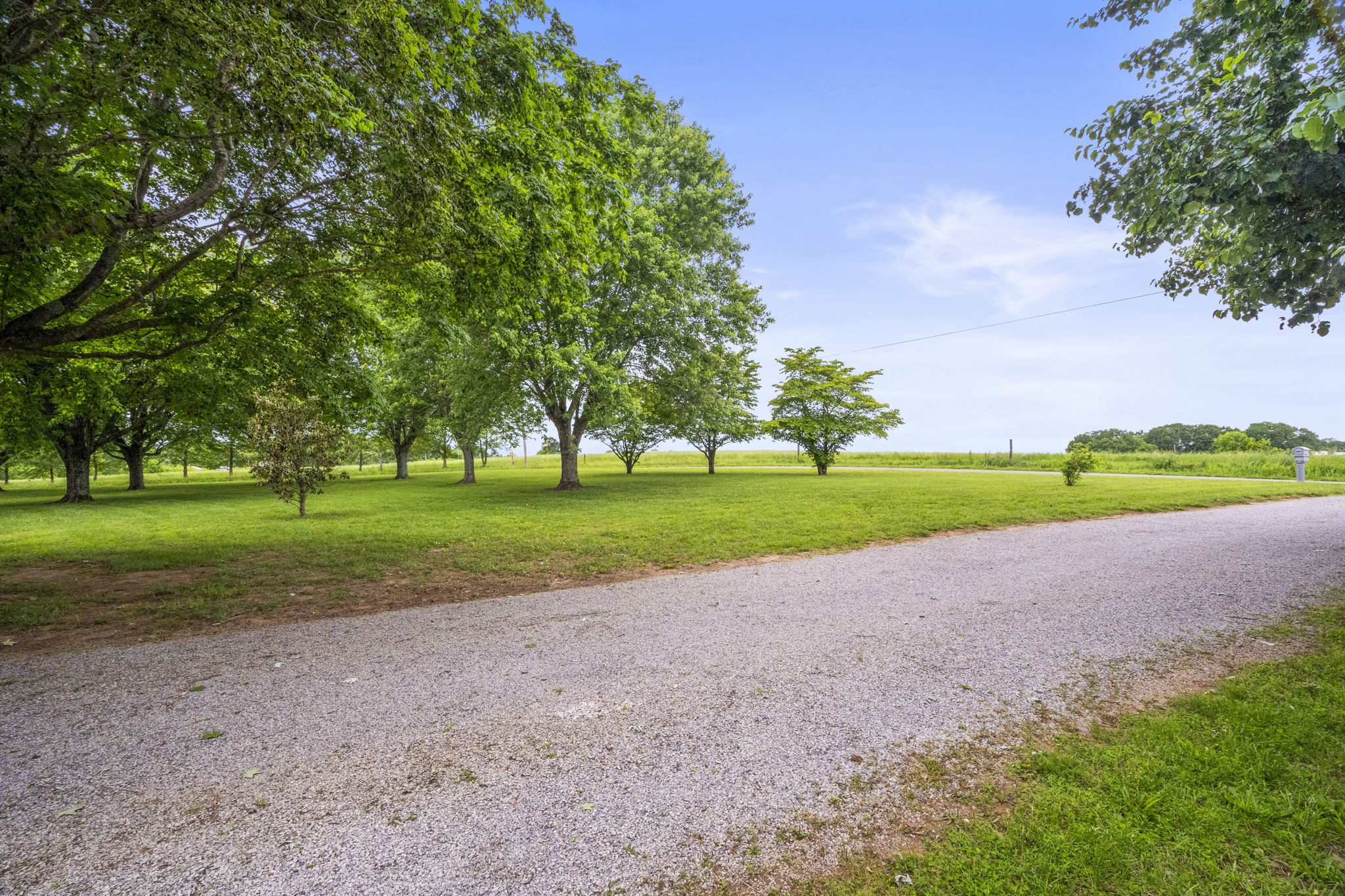 5125 Rippy Road Cross Plains, TN 37049 - Photo 4 of 34 a view of a park