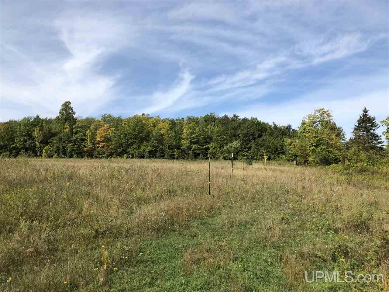 30970 Tapiola Road Pelkie, MI 49958 - Photo 43 of 49 Gallery Image 43