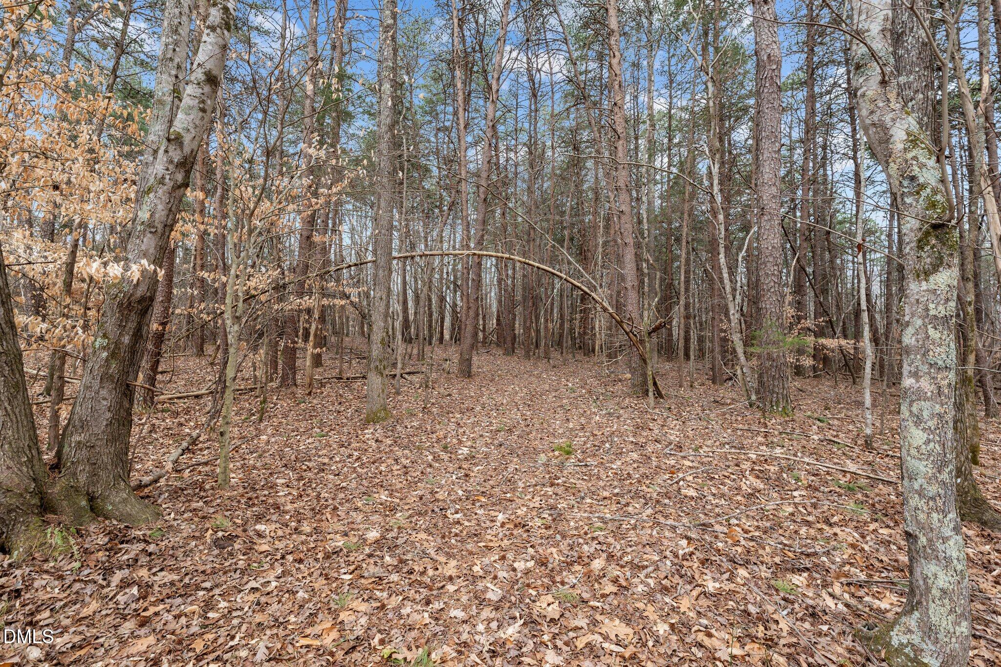 8729 Allison Road Cedar Grove, NC 27231 - Photo 51 of 63 a backyard of a house with lots of green space