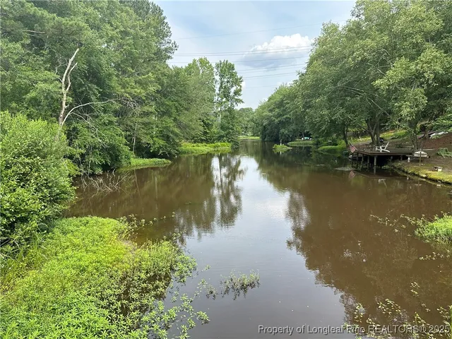 a view of a lake in between two large trees