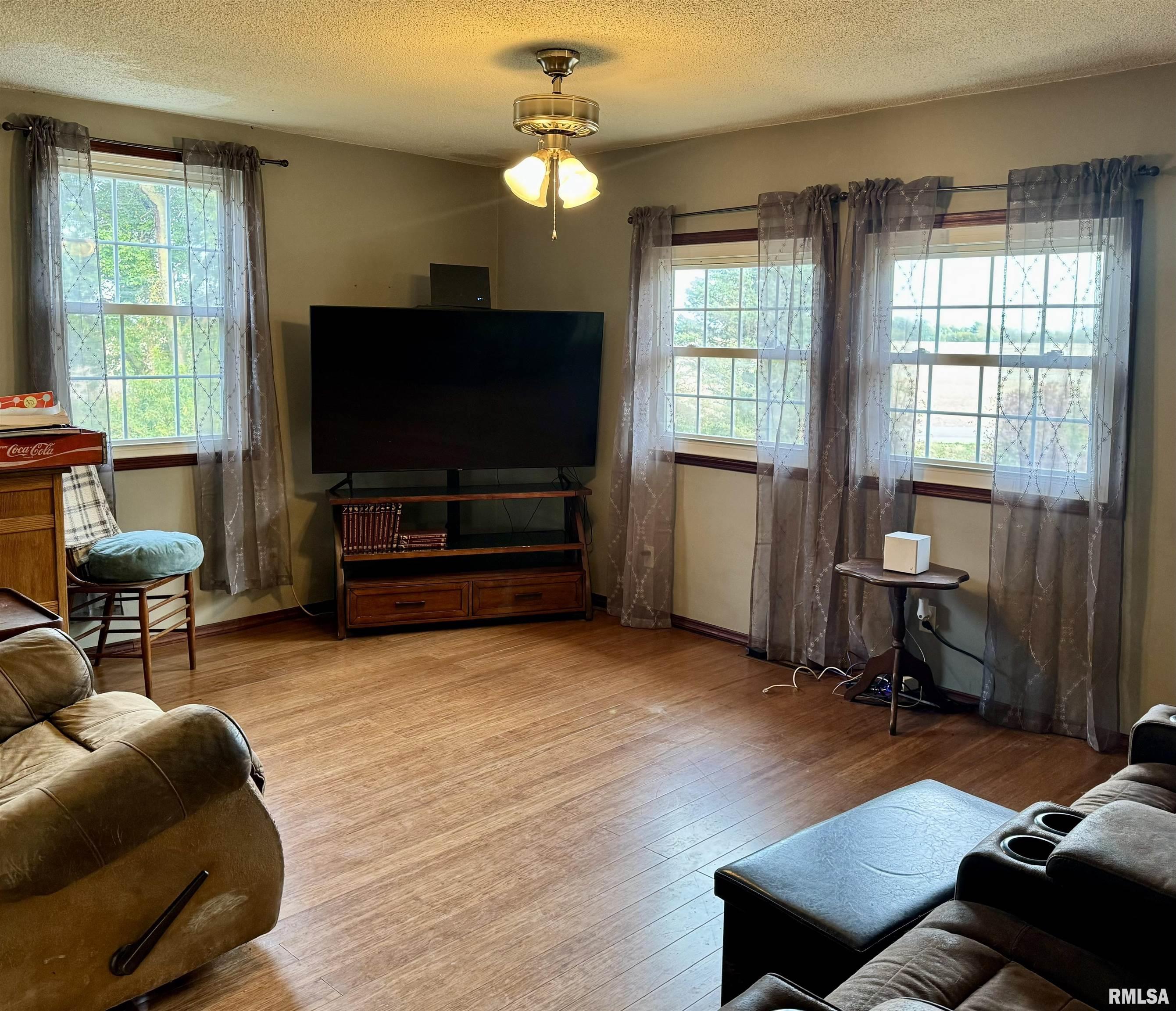 14517 Elmore Road Elmwood, IL 61529 - Photo 3 of 25