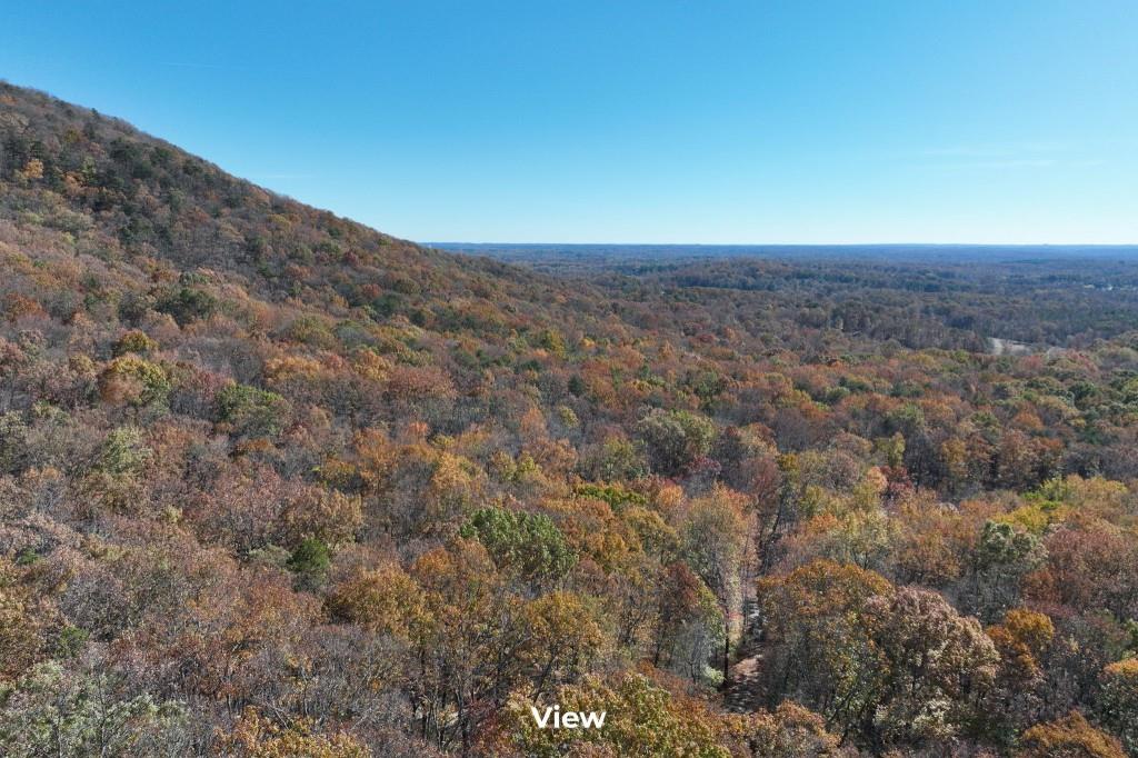 Lot 34 Wauka Ridge Road Cleveland, GA 30528 - Photo 5 of 14