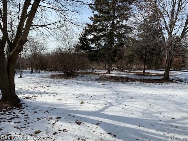 253 Myers Road Lapeer, MI 48446 - Photo 15 of 17 IMG_0421.jpg