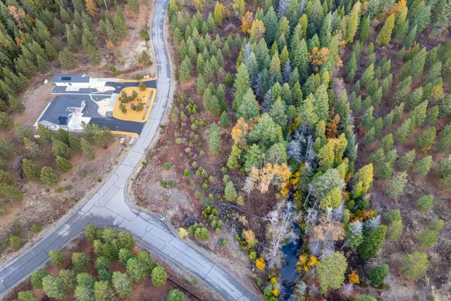 a view of a yard with plants