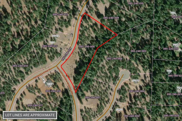 a sign board with tall trees