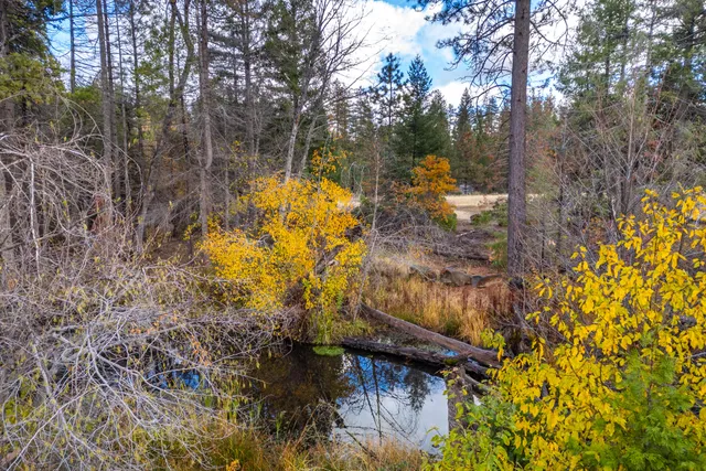 a view of a houses with yard