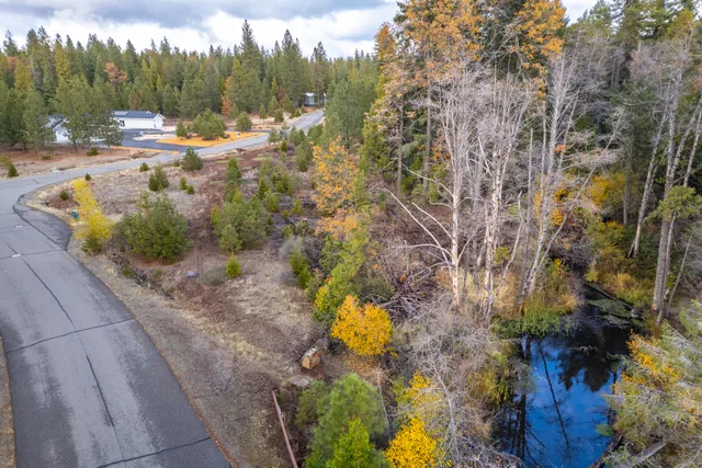 a view of a yard with plants and tree