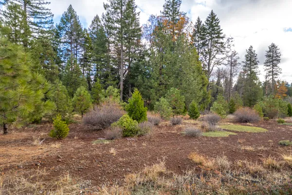a backyard of a house with lots of green space