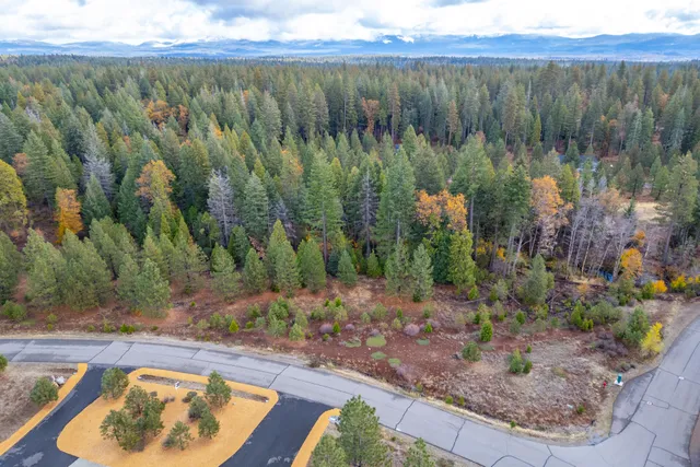 a view of swimming pool with lawn chairs and plants
