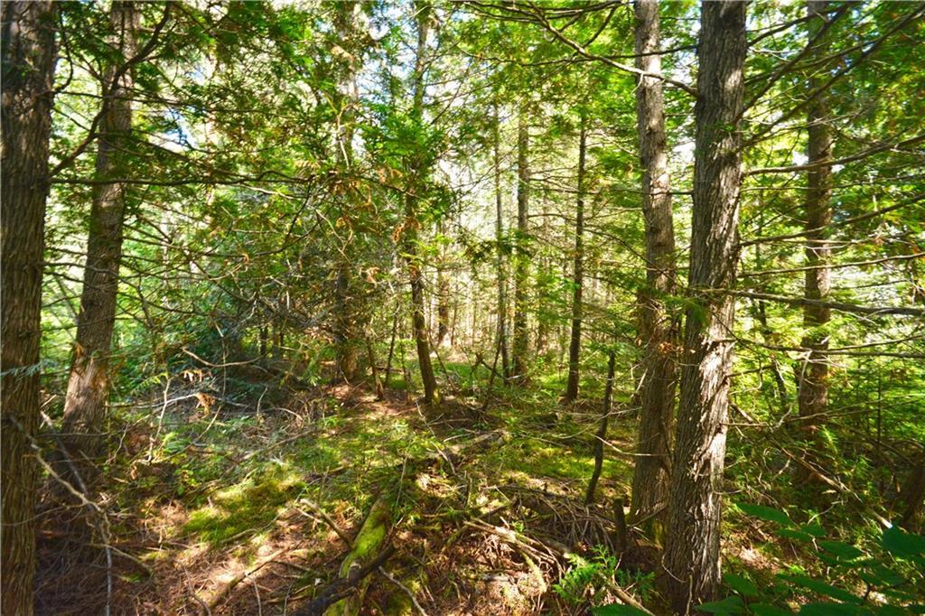 Map 4-lot Map 4-lot Town Line Road Springfield, ME 04487 - Photo 11 of 14 Photo