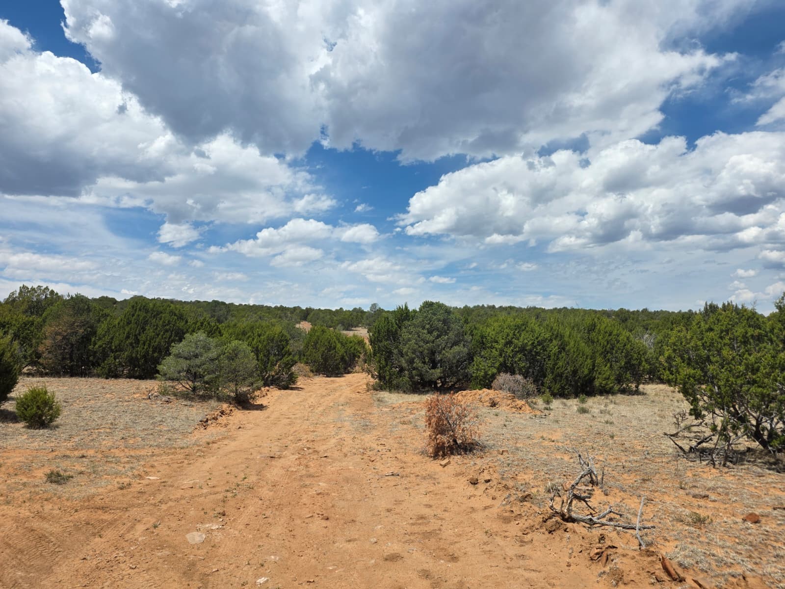 0 County Rd B28A Ribera, NM 87560 - Photo 2 of 32