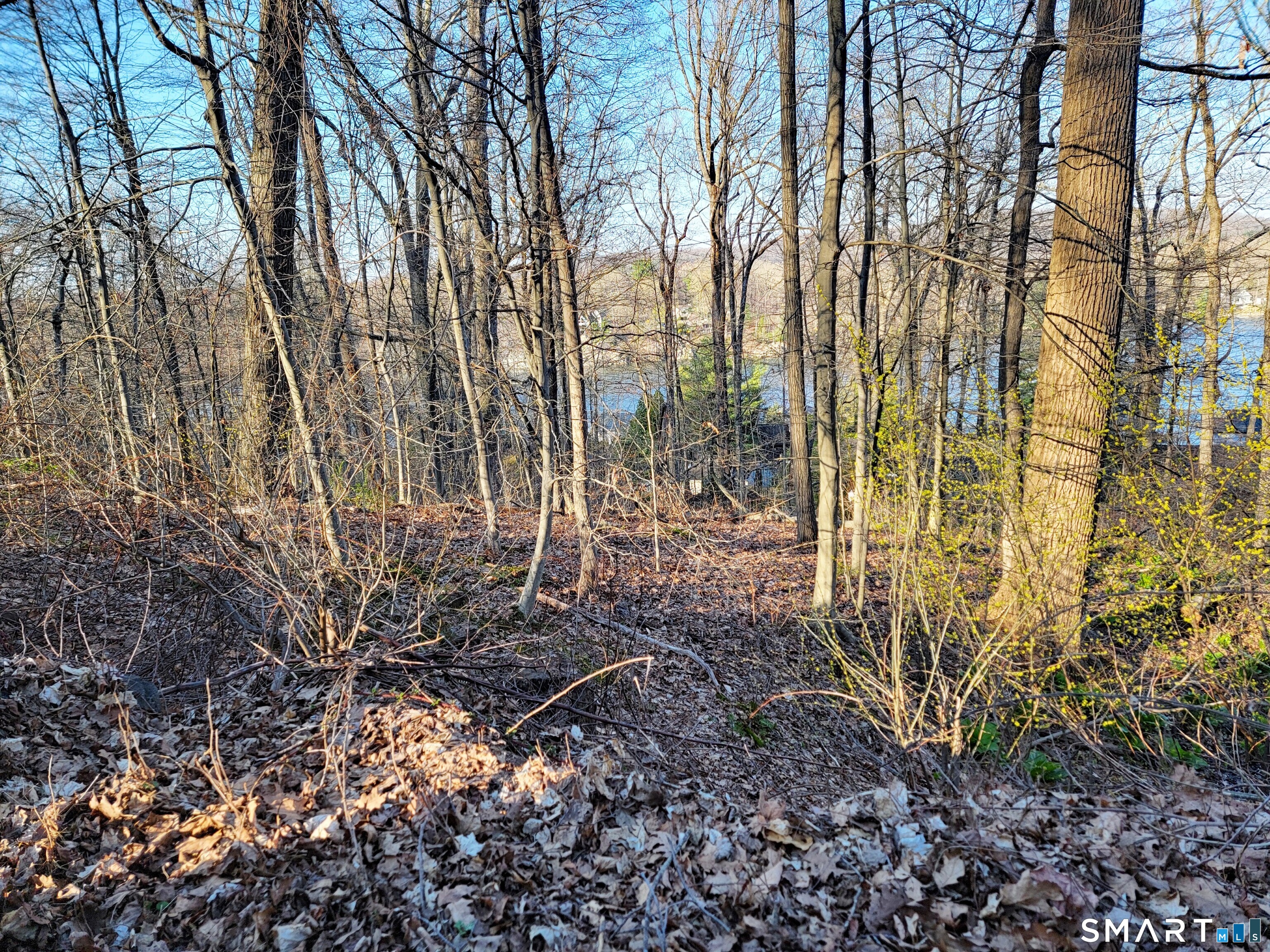 8 Old Sib Road Ridgefield, CT 06877 - Photo 5 of 7 Gallery Image 5