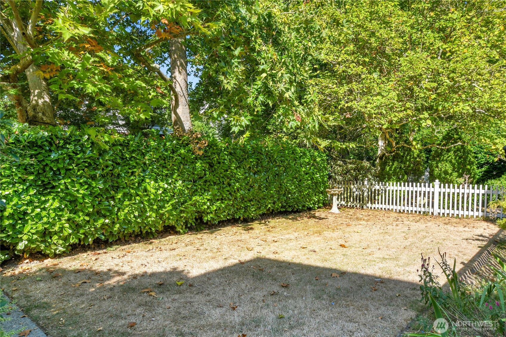 916 20th Avenue East Seattle, WA 98112 - Photo 23 of 28 a view of a yard with wooden fence