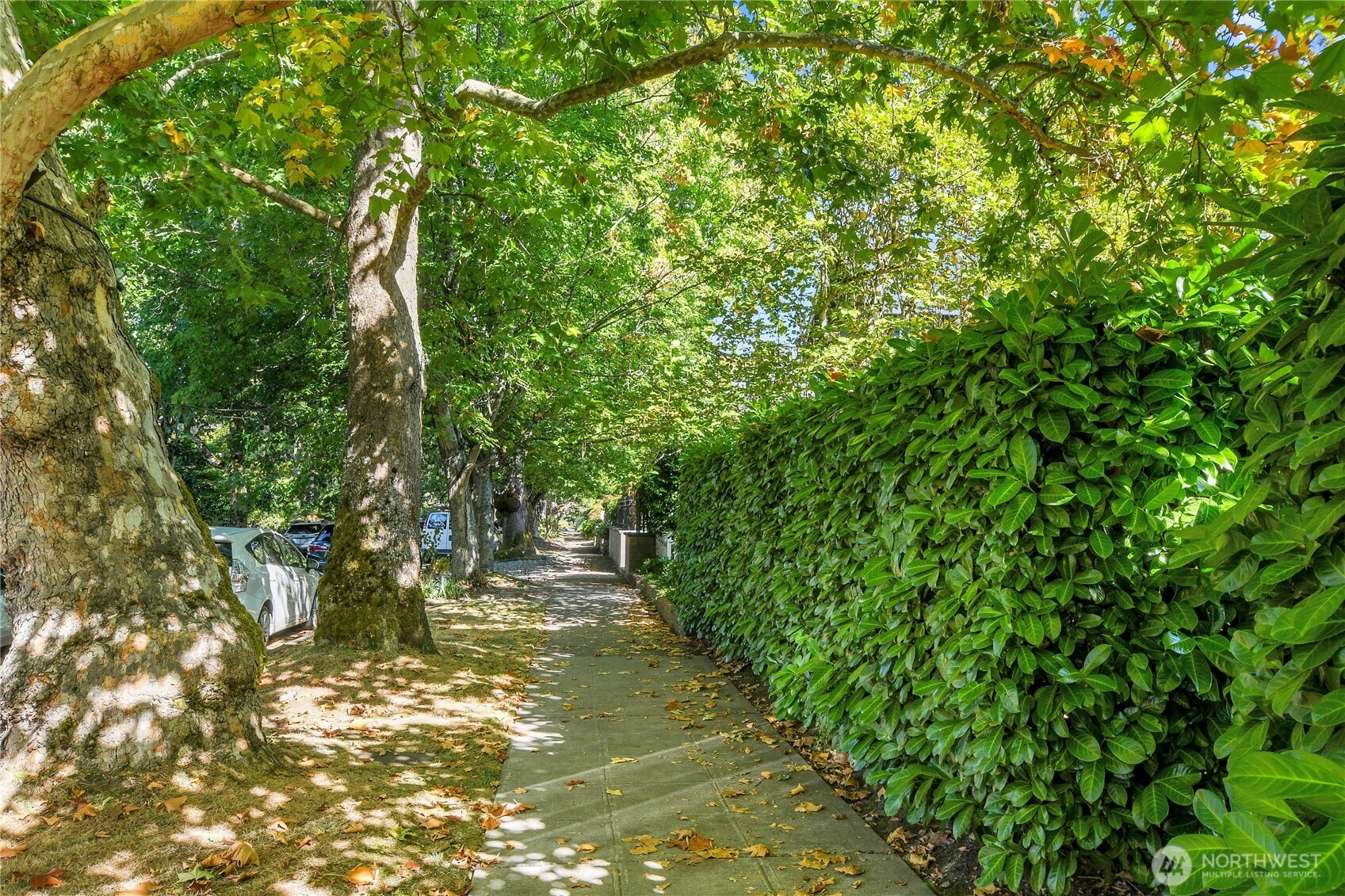 916 20th Avenue East Seattle, WA 98112 - Photo 25 of 28 a view of a yard with plants
