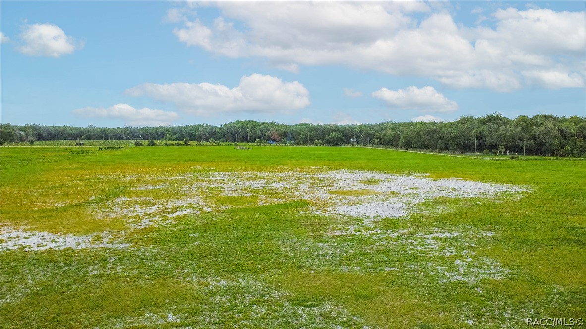 10774 East Lucas Trail Inverness, FL 34450 - Photo 11 of 18