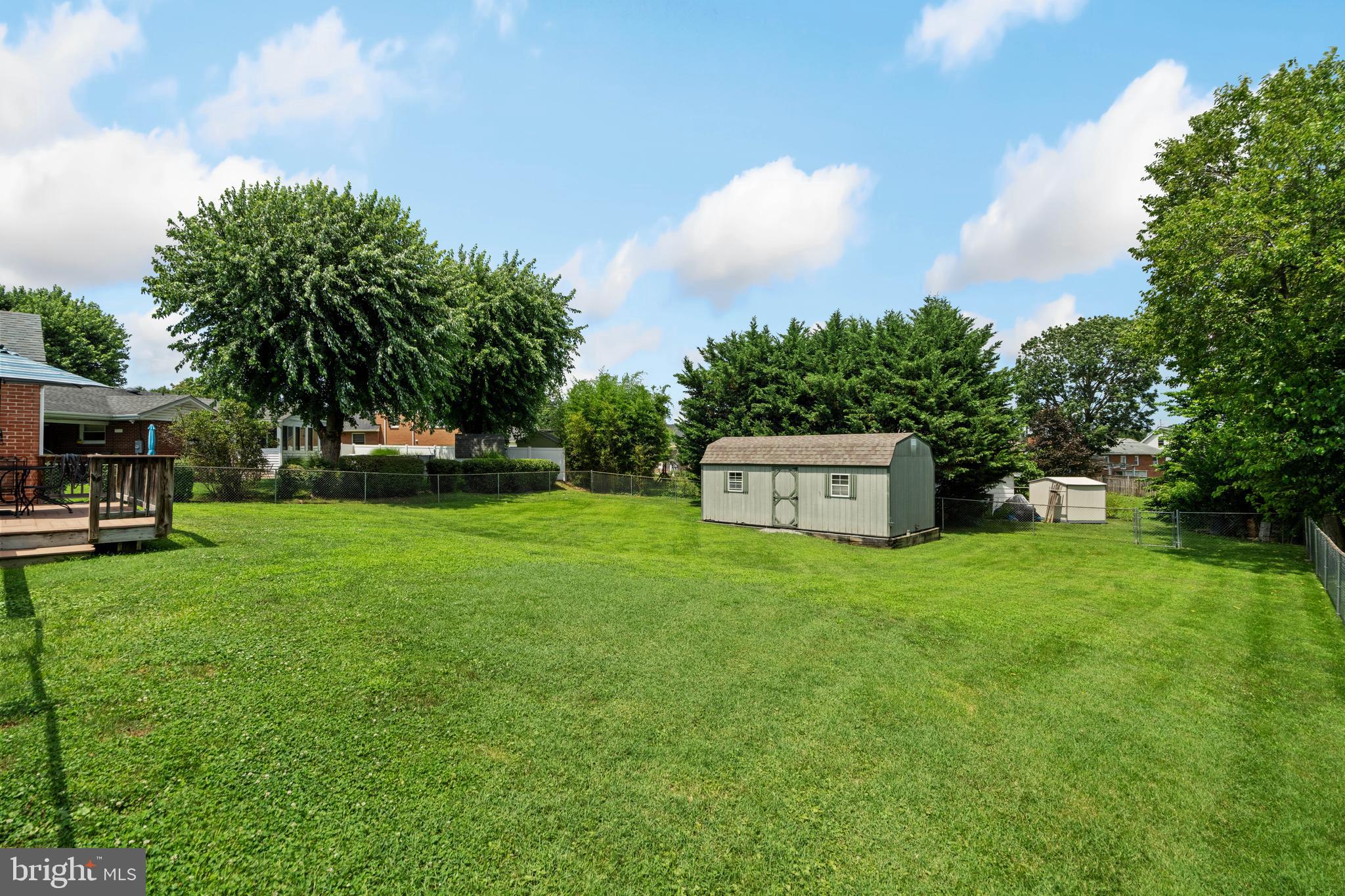 319 Beechcroft Road Winchester, VA 22601 - Photo 53 of 60 Back yard with Shed