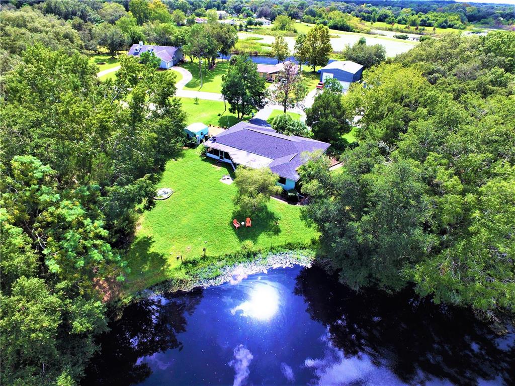 9850 Fox Squirrel Drive New Port Richey, FL 34654 - Photo 1 of 1 a view of a yard with plants