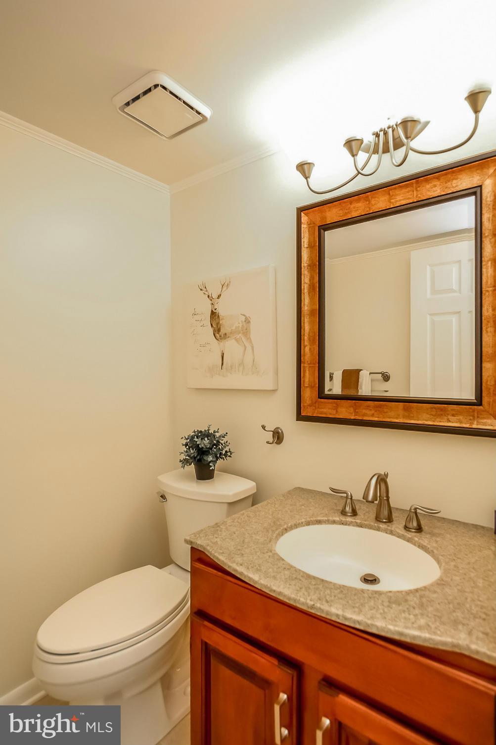6922 Parchment Rise Columbia, MD 21044 - Photo 18 of 30 Bath