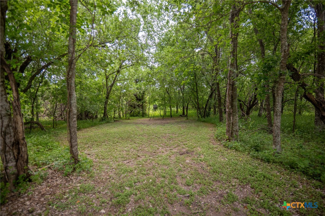 1967 Fleming Prairie Road Victoria, TX 77905 - Photo 28 of 33 a view of outdoor space and green space