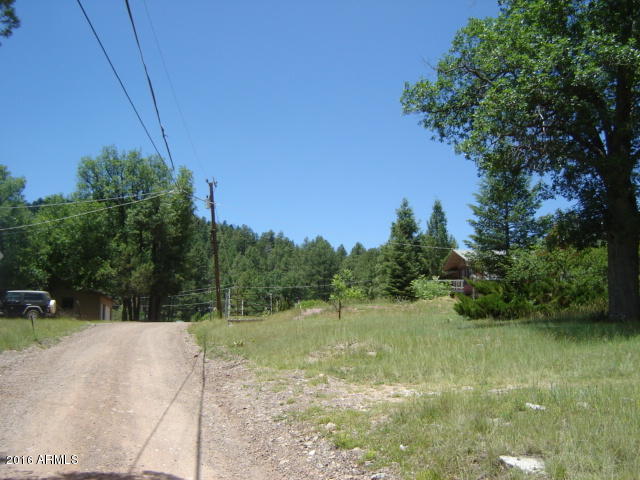 787 Running Elk Road Payson, AZ 85541 - Photo 16 of 22 DSC09628